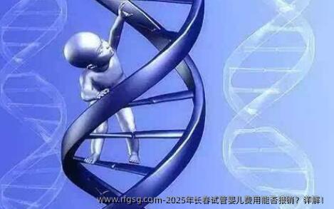 2025年长春试管婴儿费用能否报销？详解！