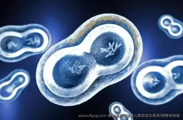 哪家重庆试管婴儿医院成功率高?附费用明细