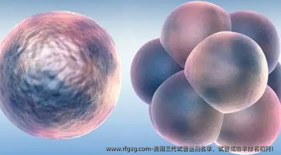 贵阳三代试管医院名单，试管成功率排名前列！