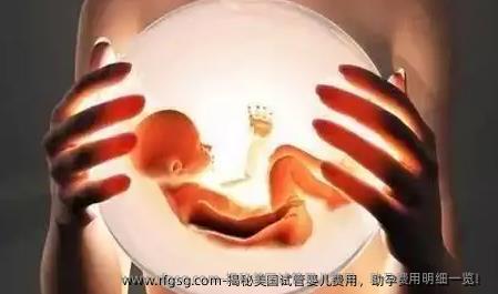 揭秘美国试管婴儿费用，助孕费用明细一览！