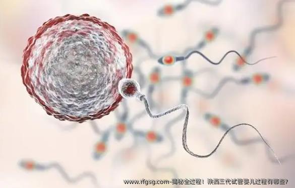 揭秘全过程！陕西三代试管婴儿过程有哪些？