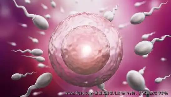 泰国试管婴儿医院排行榜，附试管成功率解析