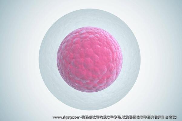 囊胚做试管的成功率多高,试管囊胚成功率高吗着床什么感觉！