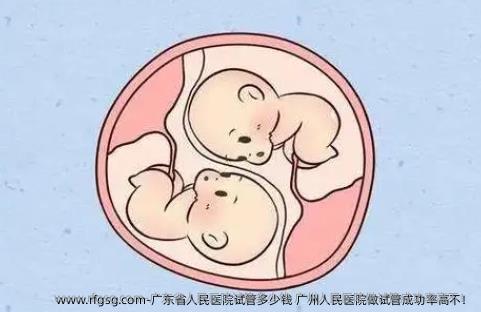 广东省人民医院试管多少钱 广州人民医院做试管成功率高不！