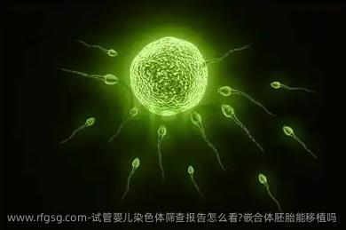 试管婴儿染色体筛查报告怎么看?嵌合体胚胎能移植吗