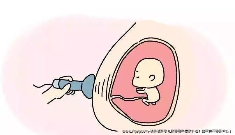长春试管婴儿的费用构成是什么？如何进行费用对比？