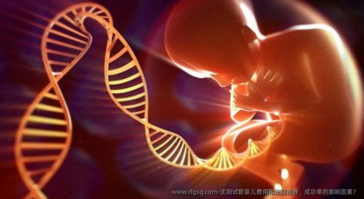 沈阳试管婴儿费用和医院选择，成功率的影响因素？