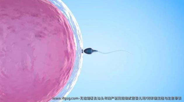 无结婚证去汕头市妇产医院能做试管婴儿吗?附详细流程与注意事项