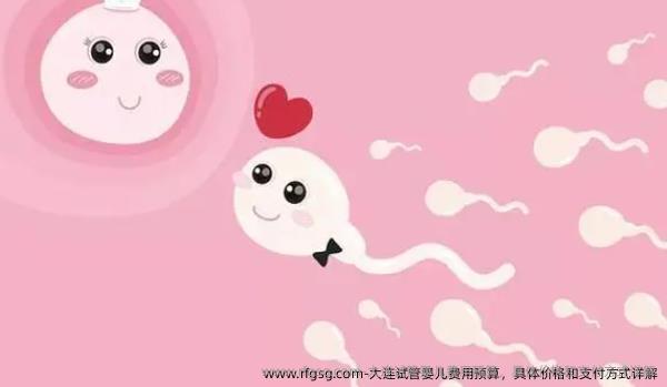 大连试管婴儿费用预算，具体价格和支付方式详解