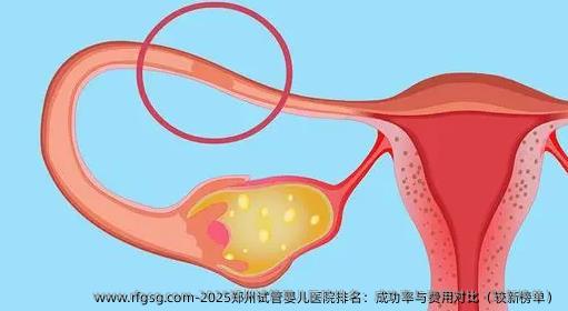 2025郑州试管婴儿医院排名：成功率与费用对比（较新榜单）