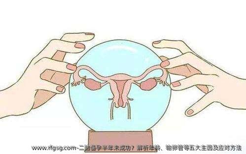 二胎备孕半年未成功？解析年龄、输卵管等五大主因及应对方法