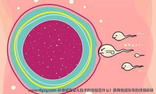 长春试管婴儿技术的流程是什么？费用和成功率的详细说明