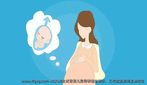2025湖北试管婴儿费用明细全解析，三代试管费用差异对比