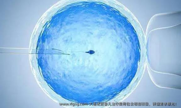 大连试管婴儿治疗费用包含哪些项目，详细清单曝光！