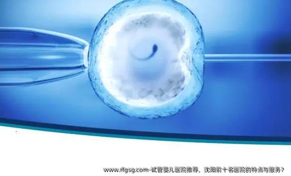 试管婴儿医院推荐，沈阳前十名医院的特点与服务？