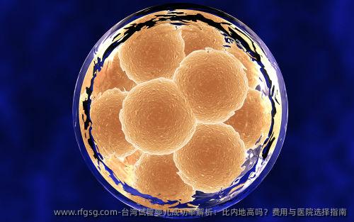 台湾试管婴儿成功率解析：比内地高吗？费用与医院选择指南
