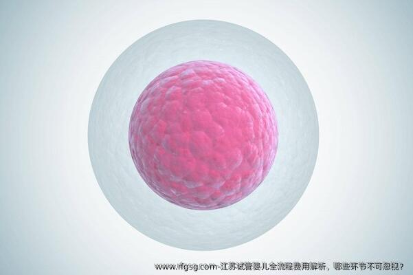 江苏试管婴儿全流程费用解析，哪些环节不可忽视？
