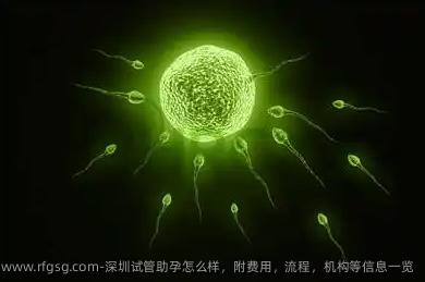 深圳试管助孕怎么样，附费用，流程，机构等信息一览