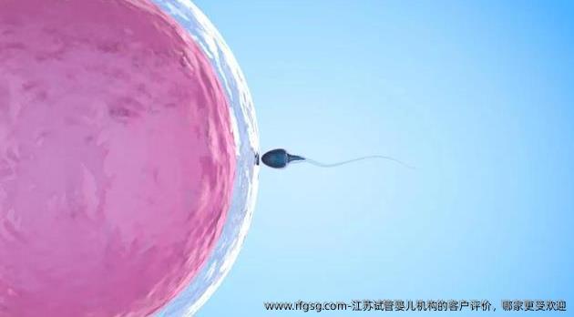 江苏试管婴儿机构的客户评价，哪家更受欢迎