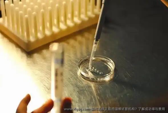 如何选择正规的淄博试管机构？了解成功率与费用
