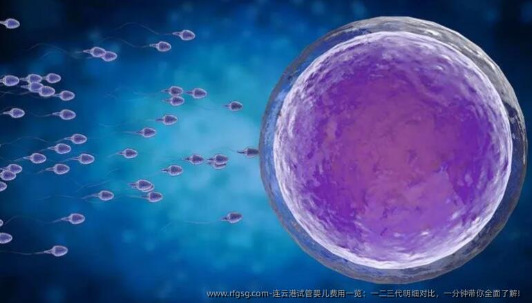 连云港试管婴儿费用一览：一二三代明细对比，一分钟带你全面了解！