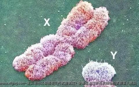 连云港地区有哪些三代试管医院？全面盘点三家各具特色的试管婴儿医院