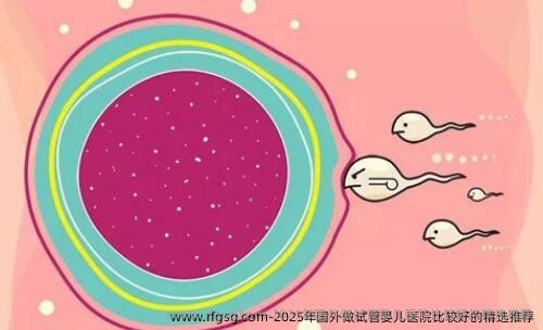 2025年国外做试管婴儿医院比较好的精选推荐