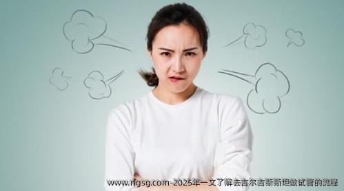 2025年一文了解去吉尔吉斯斯坦做试管的流程
