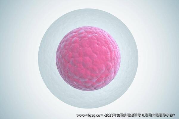 2025年去国外做试管婴儿费用大概要多少钱？