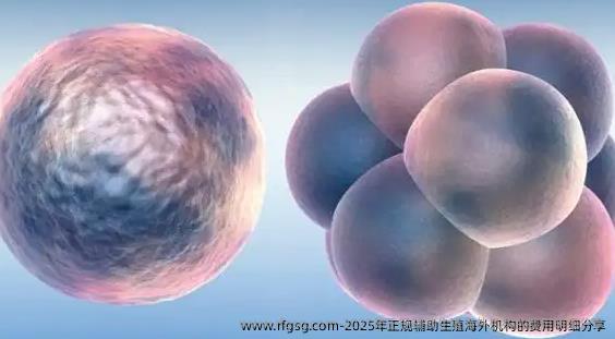 2025年正规辅助生殖海外机构的费用明细分享