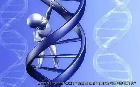 2025年柬埔寨做试管比较好的医院是哪几家？