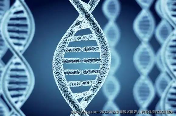 2025年去泰国做试管婴儿的具体流程指南揭秘