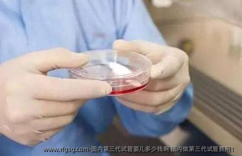 国内第三代试管婴儿多少钱啊 国内做第三代试管费用！