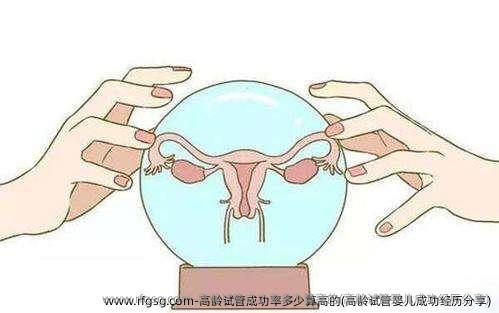 高龄试管成功率多少算高的(高龄试管婴儿成功经历分享)