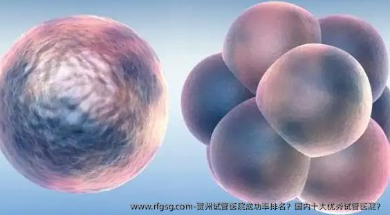 贺州试管医院成功率排名？国内十大优秀试管医院？