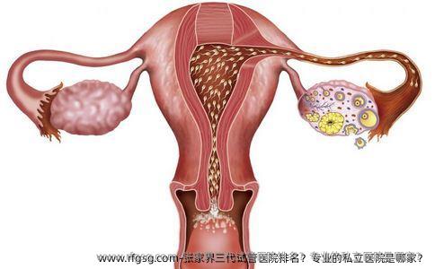 张家界三代试管医院排名？专业的私立医院是哪家？