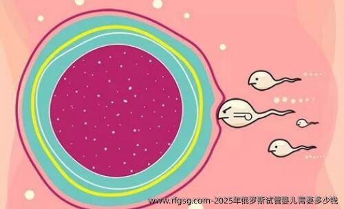 2025年俄罗斯试管婴儿需要多少钱