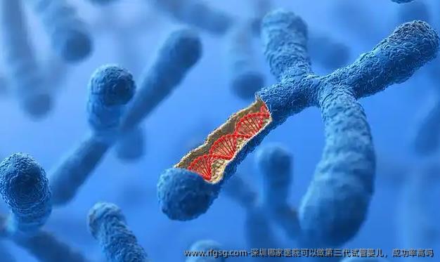 深圳哪家医院可以做第三代试管婴儿，成功率高吗