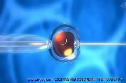 2025年泰国做试管婴儿的全部费用大概是多少