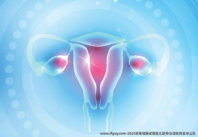 2025年柬埔寨试管婴儿助孕合法机构名单公示