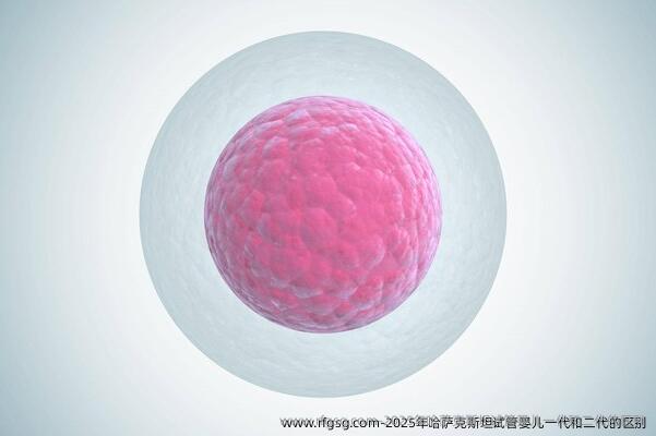 2025年哈萨克斯坦试管婴儿一代和二代的区别