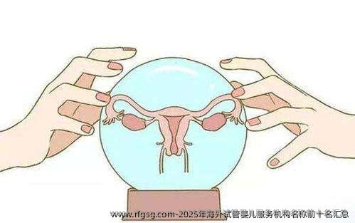 2025年海外试管婴儿服务机构名称前十名汇总