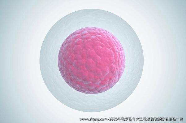 2025年俄罗斯十大三代试管医院排名更新一览