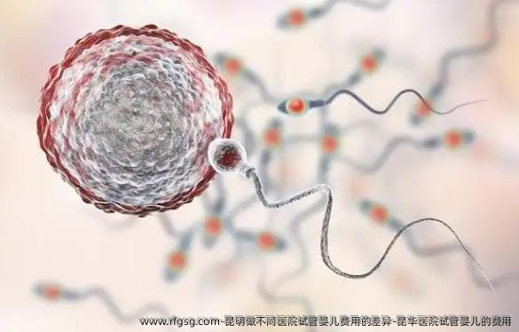 昆明做不同医院试管婴儿费用的差异-昆华医院试管婴儿的费用
