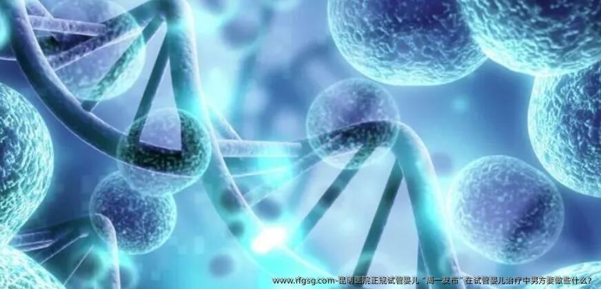 昆明医院正规试管婴儿：在试管婴儿治疗中男方要做些什么？