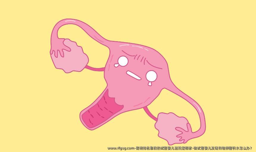 昆明排名靠前的试管婴儿医院是哪家-做试管婴儿发现有输卵管积水怎么办？