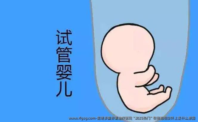 昆明多囊卵巢治疗医院“2025热门”有卵泡但没怀上是什么原因
