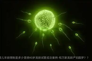 咨询问题:试管婴儿年龄限制是多少？昆明40岁高龄试管成功案例