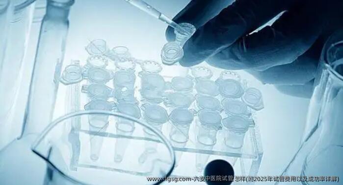 六安中医院试管怎样(附2025年试管费用以及成功率详解)