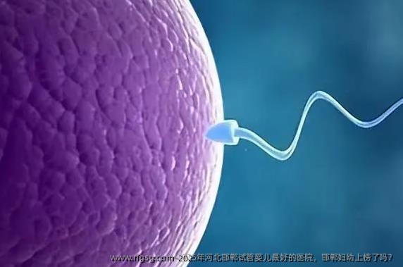 2025年河北邯郸试管婴儿最好的医院，邯郸妇幼上榜了吗？